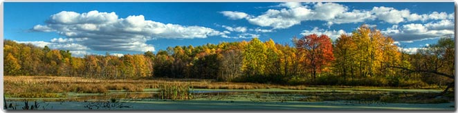 Autumn Scene