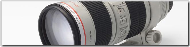 Canon 100-400 f/4-5.6 IS